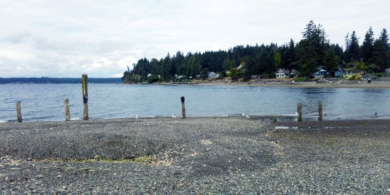 Vaughn Bay Microbial Source Tracking Study - Herrera