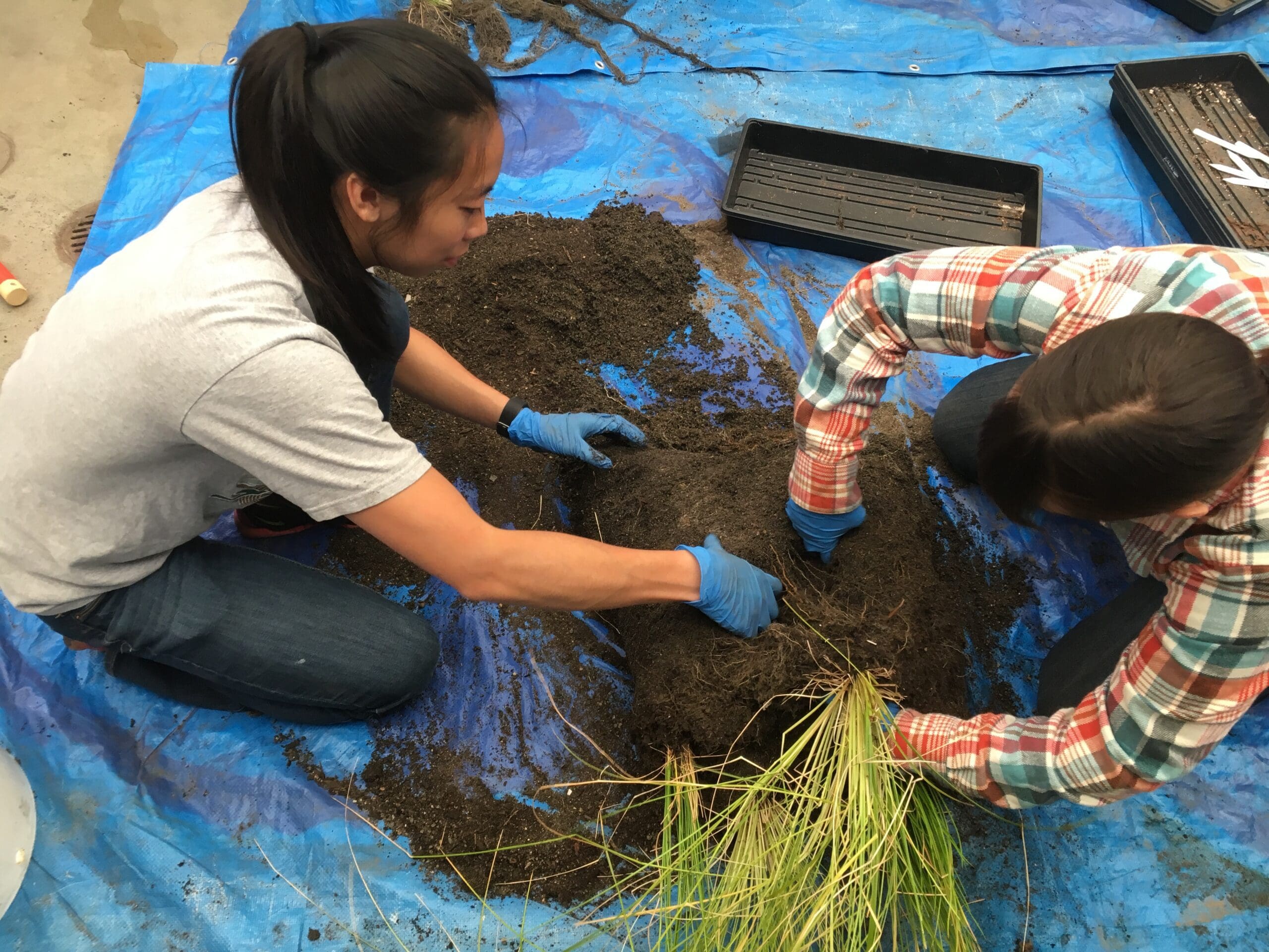 Herrera staff assess biomass of plants grown in the new HPBSM.