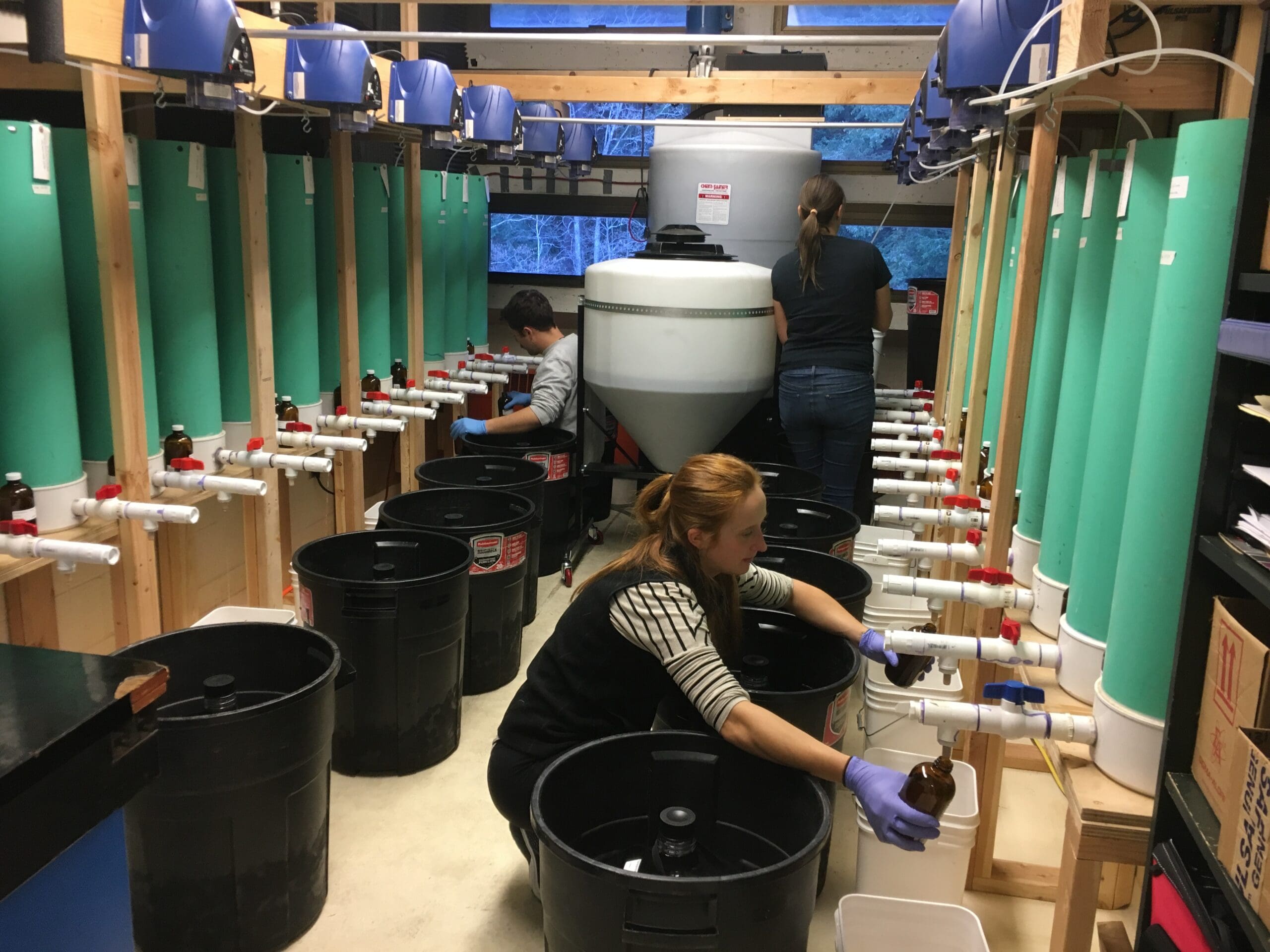 Western Washington University students helping Herrera assess new media options.