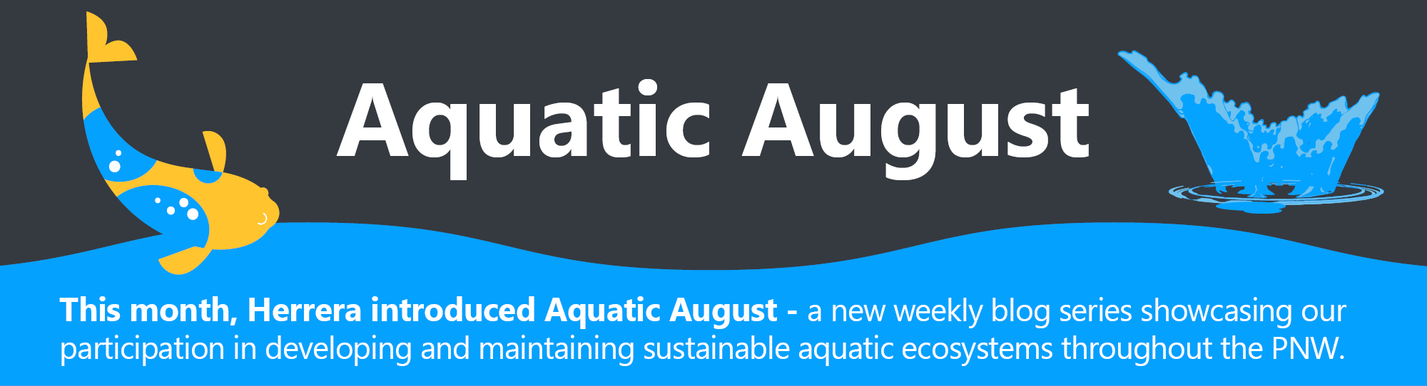 Q3-aquatic-august