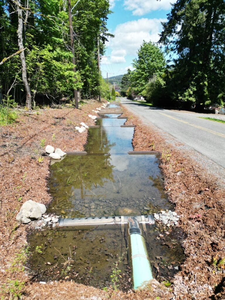 Roadside bioretention unit