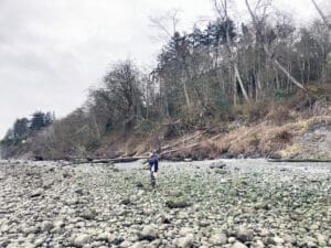 Photograph of a rocky shoreline with a person walking near scattered driftwood and seaweed. Background features a forested hillside with bare trees under an overcast sky.